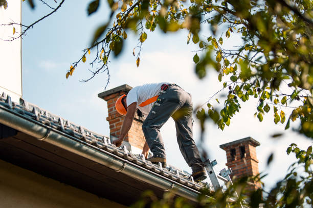 Best Roof Inspection Near Me  in Three Rivers, MI