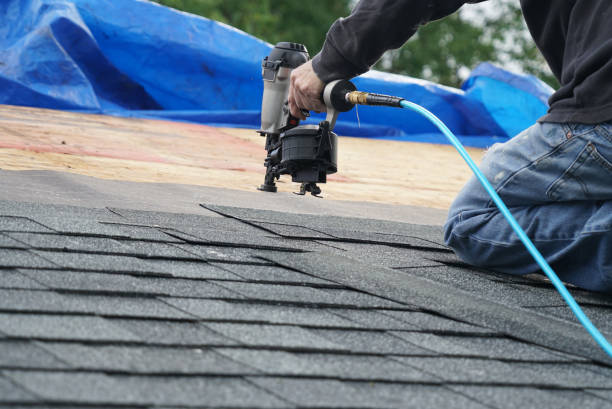 Best Roof Repair Services  in Three Rivers, MI