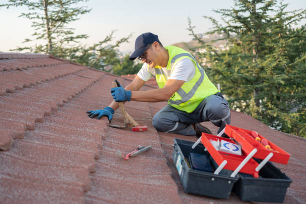 Professional Roofing Contractor in Three Rivers, MI