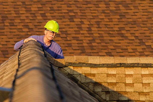 Best Local Roofing Companies  in Three Rivers, MI